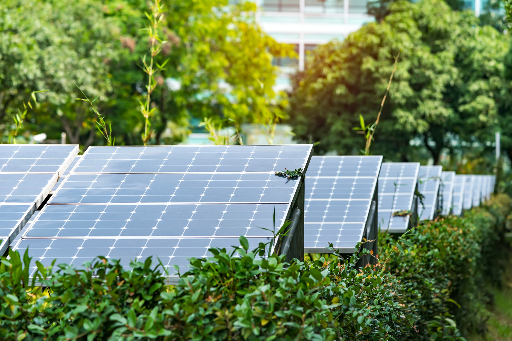 Zonnepanelen in groen veld