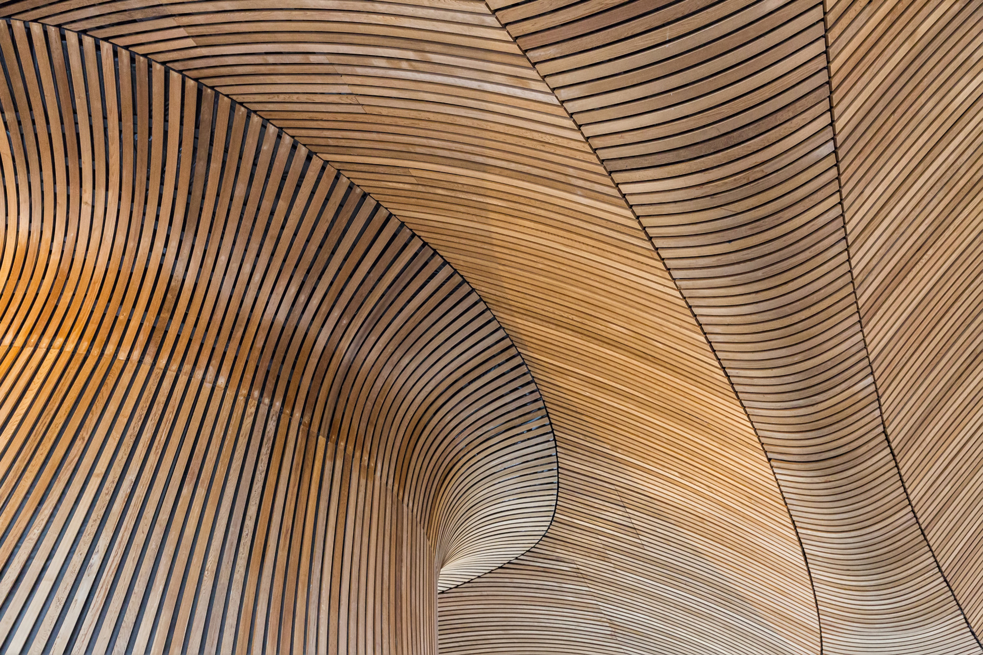 Shutterstock Welsh Assembly-gebouw houtbouw