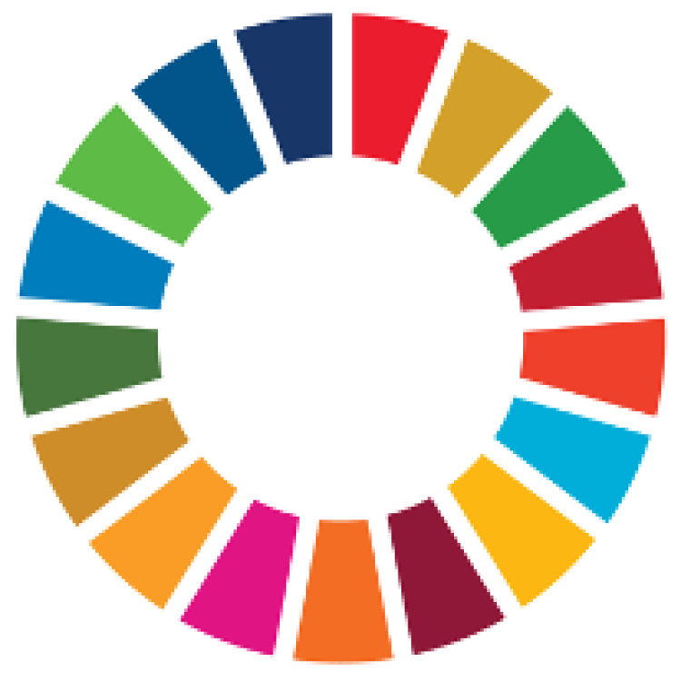Route 2030: De Sustainable Development Goals als Kompas