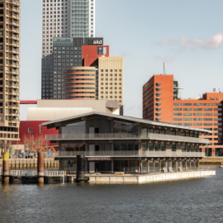 Aan het werk in Floating Office Rotterdam: Over drijven, duurzaamheid en groene daken